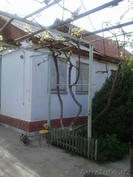 Частный дом на продажу на Телеграфе 6,5 соток участок - Изображение #5, Объявление #1615770